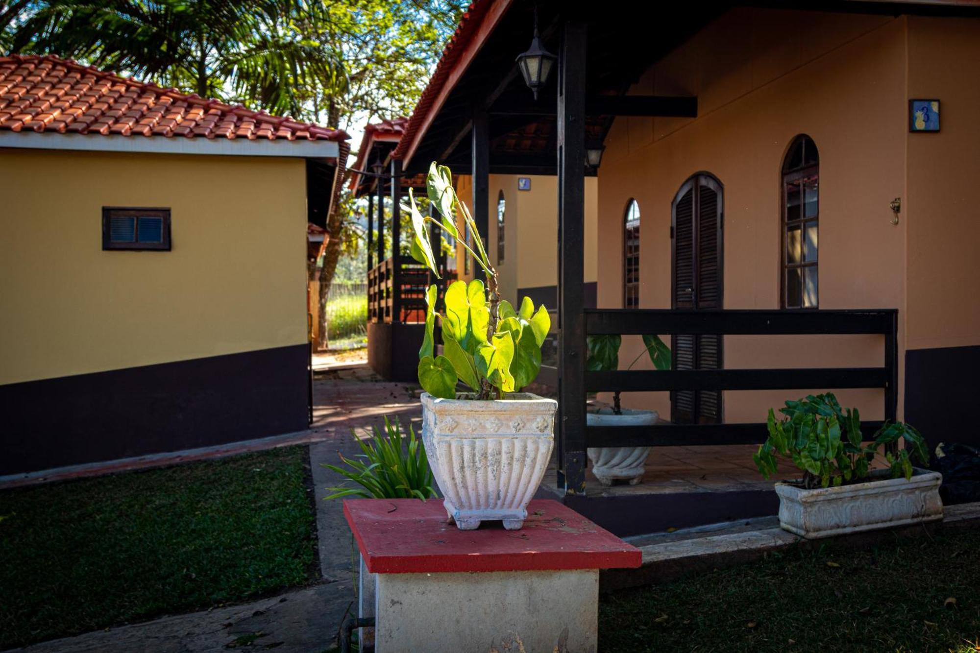 Villa Donn'Anna Analandia Exterior photo
